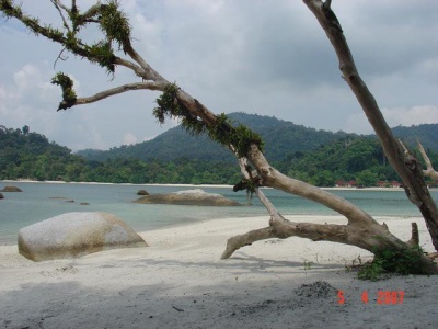Alam pantai